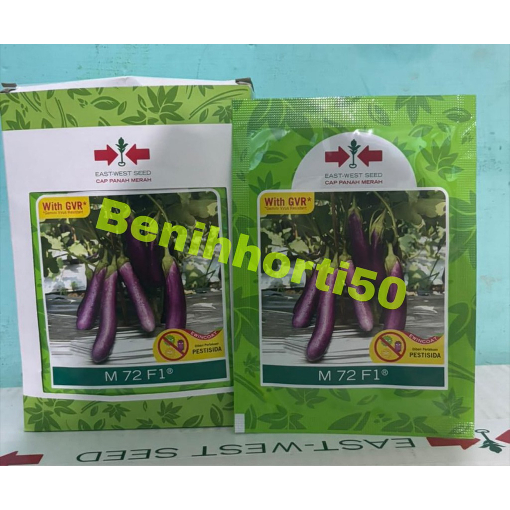 Benih Terong Ungu M 72 isi 1.100 butir