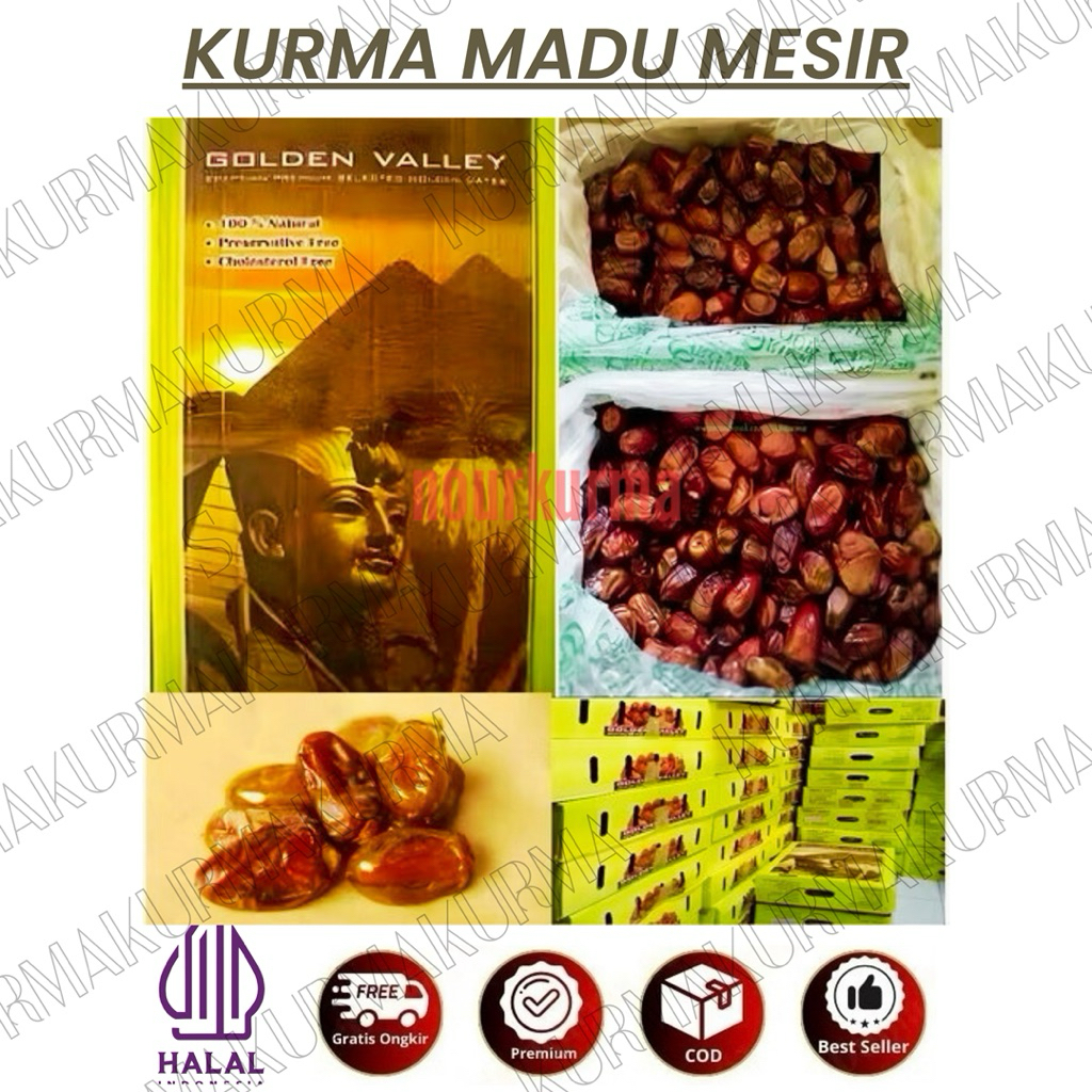 kurma golden valley/ kurma madu mesir/ kurma mesir golden valley