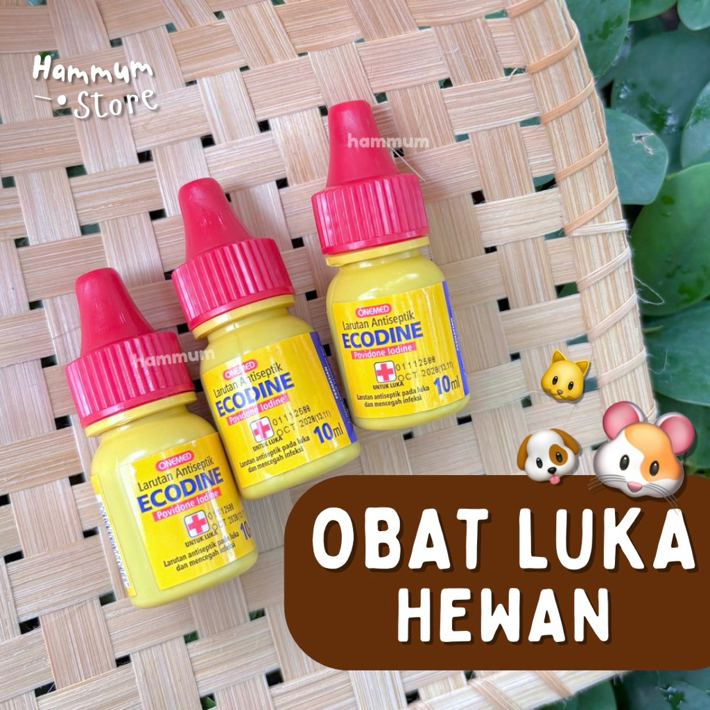 OBAT LUKA HEWAN — Obat Luar Pengering Luka Hewan | Obat Luka Hamster Sakit