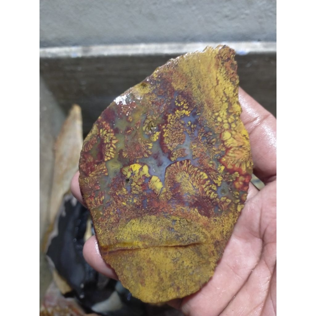 batu bahan badar lumut trenggalek