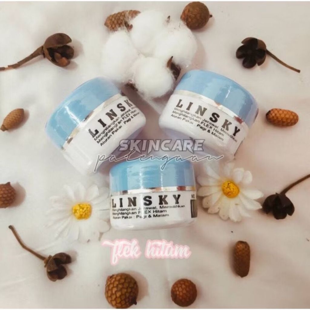 Linsky BPOM Original Hologram kecil