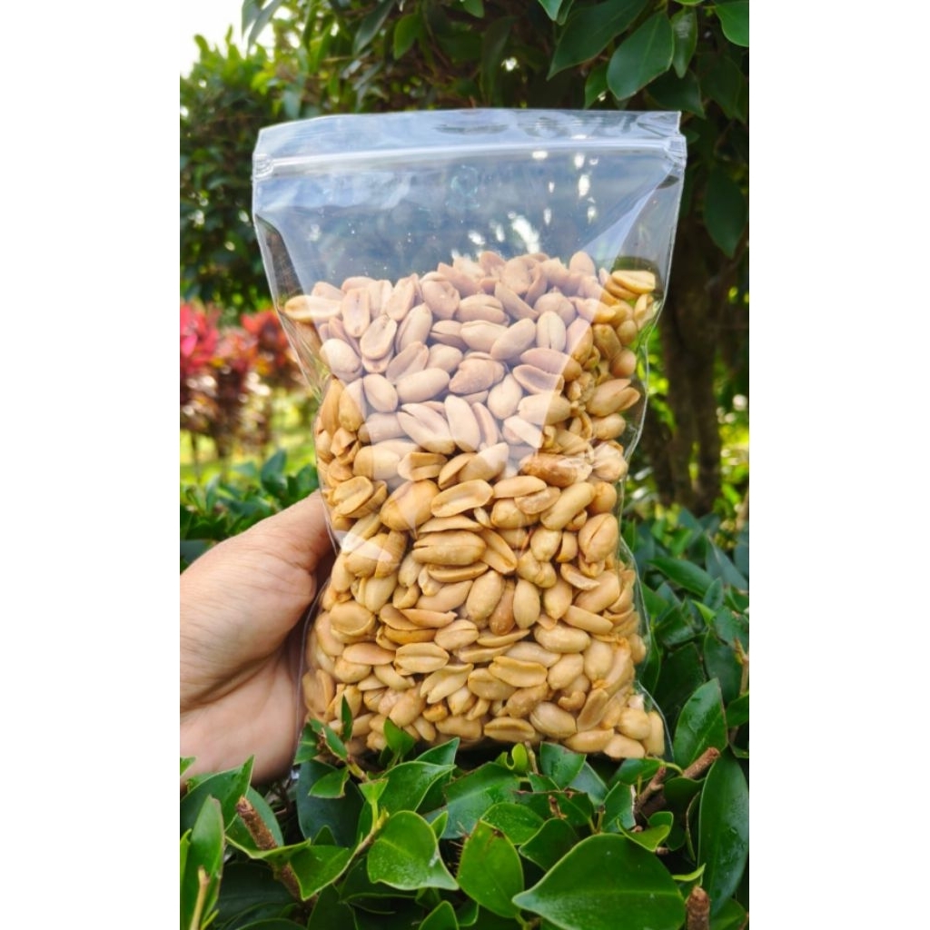 Kacang Bawang Ashoka 500gram