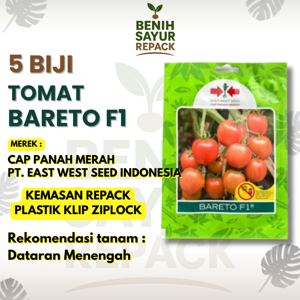 5 Biji Benih TOMAT BARETO F1 - CAP PANAH MERAH TOMAT BARETO F1 [ BENIH SAYUR REPACK ]