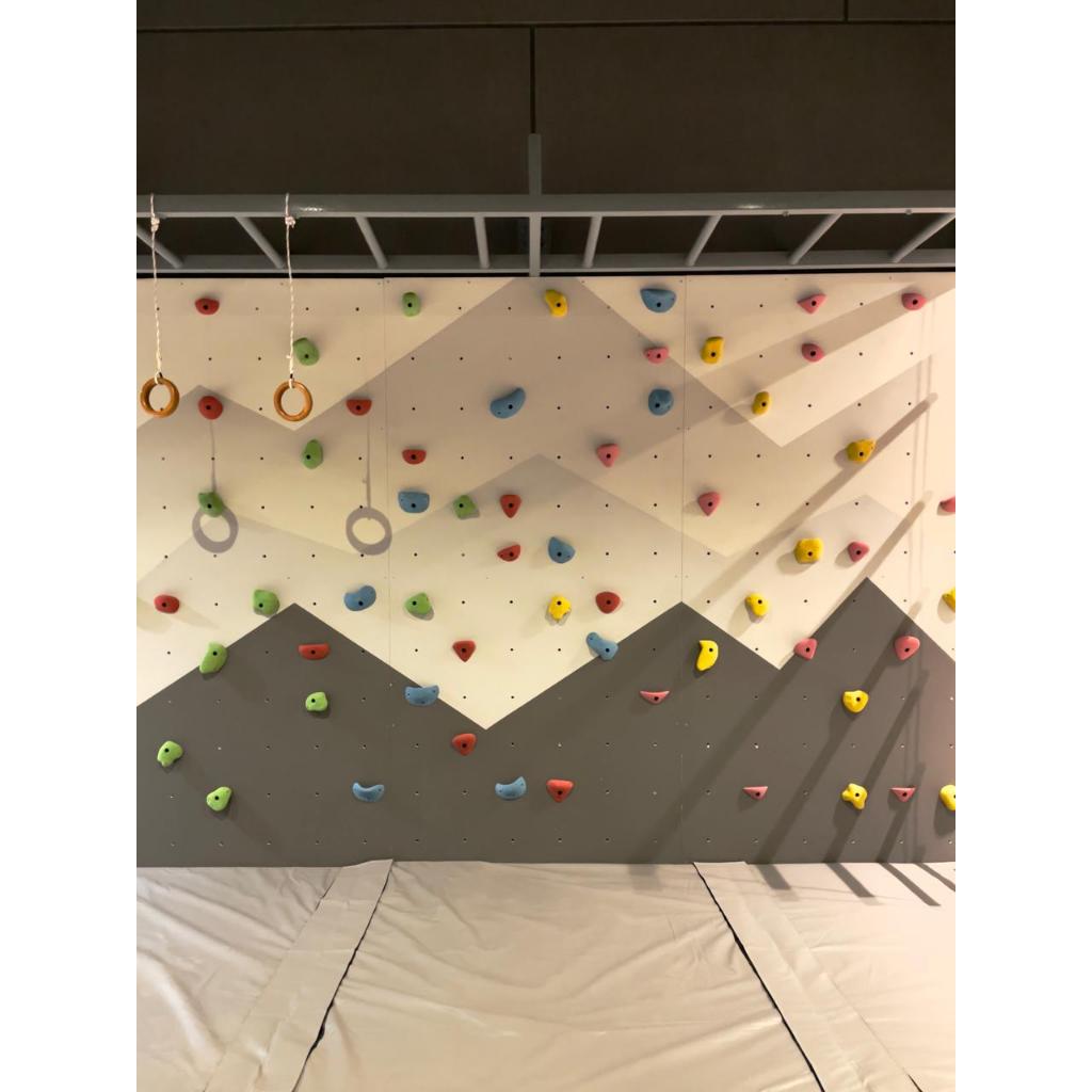 WALL CLIMBING + MONKEY BAR – HOME CLIMBING SERIES