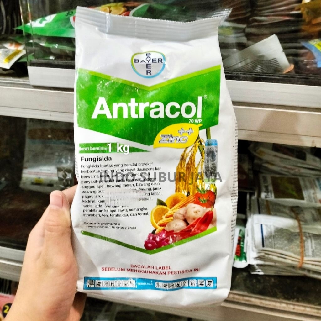 ANTRACOL 1 KG FUNGISIDA TANAMAN