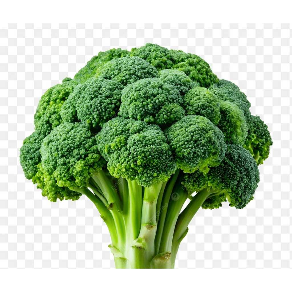 brokoli 1kg