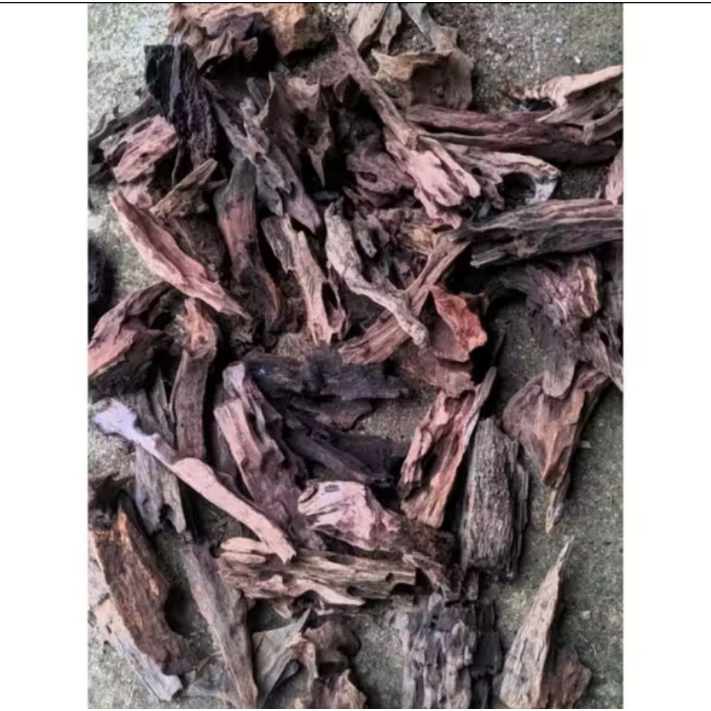 Rentek kayu isi 10pcs Cocok untuk detailing aquascape