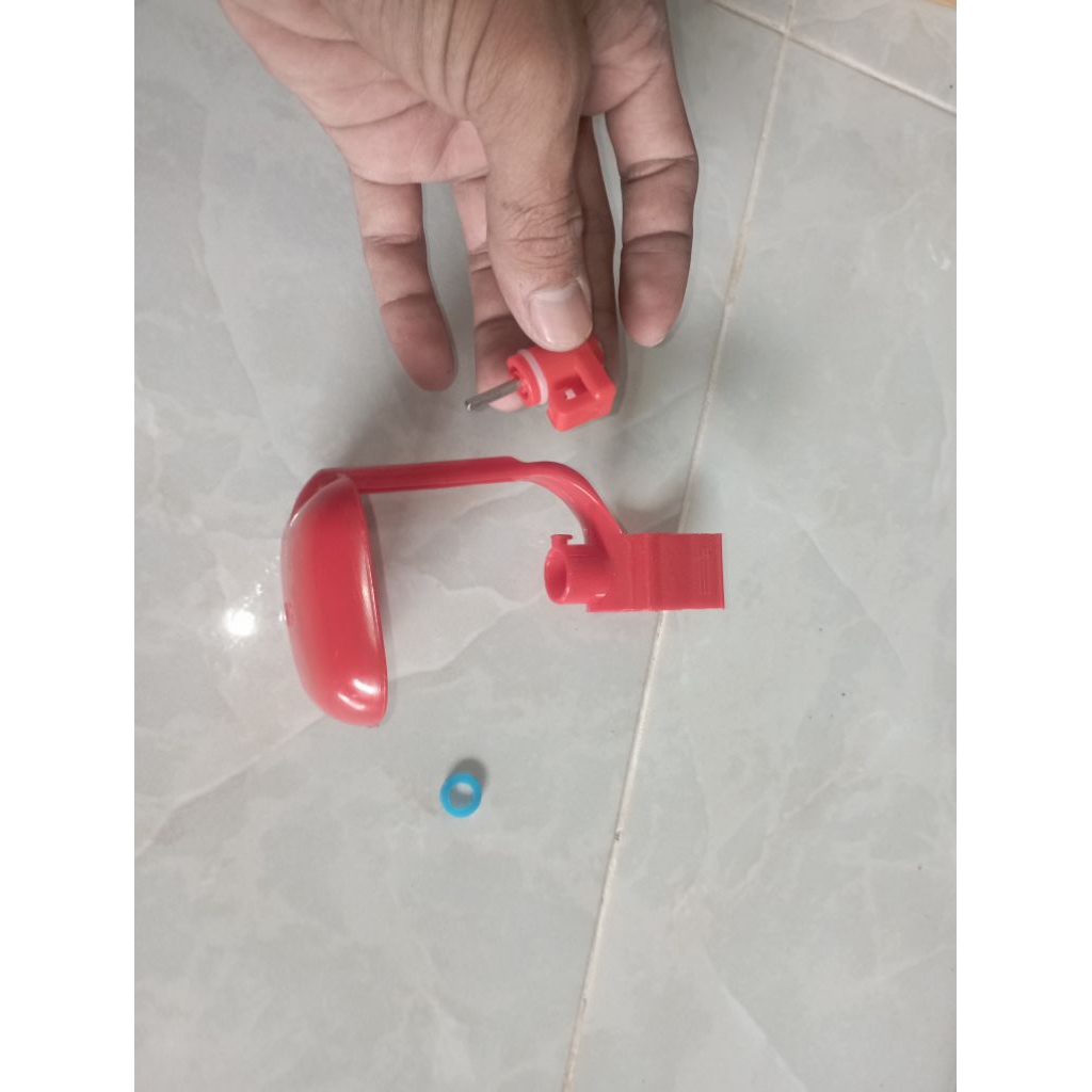 nipel minum ayam petelur