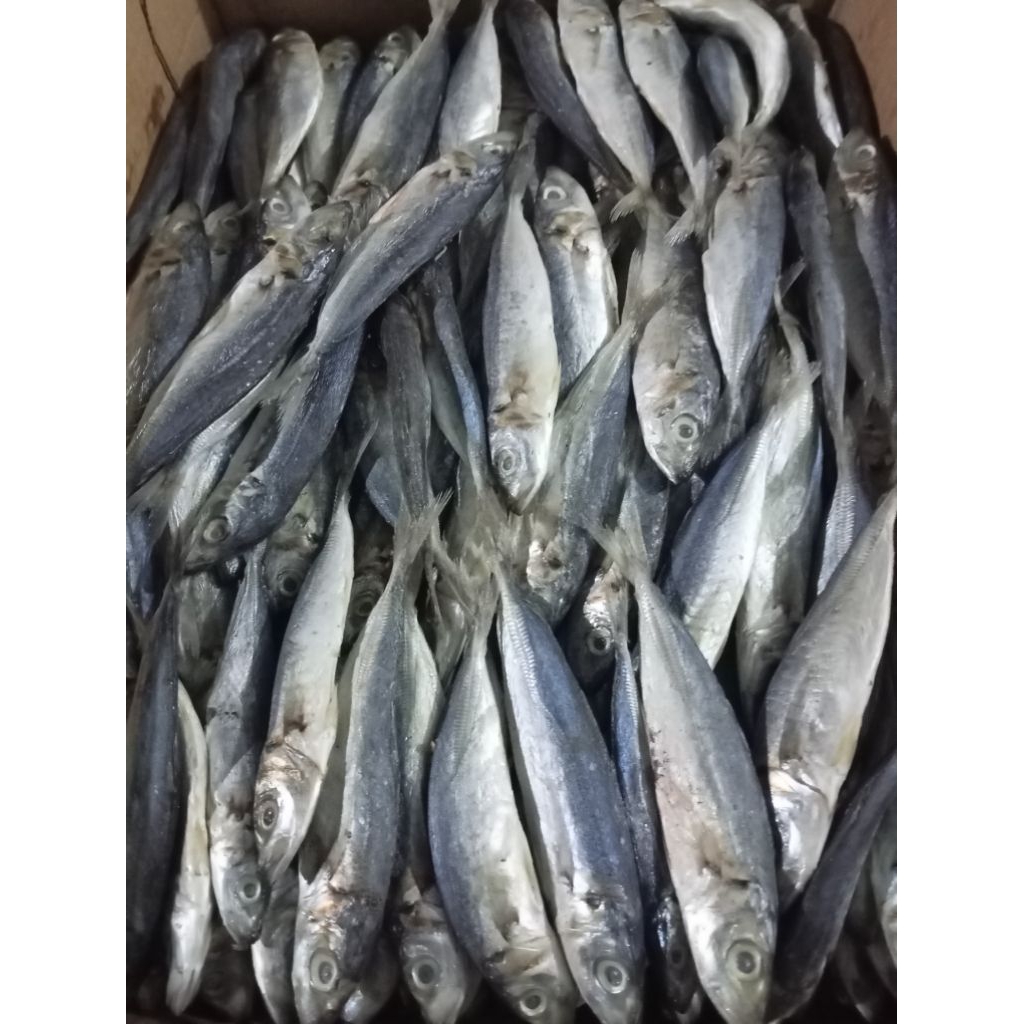 IKAN ASIN PEDA KERING PREMIUM