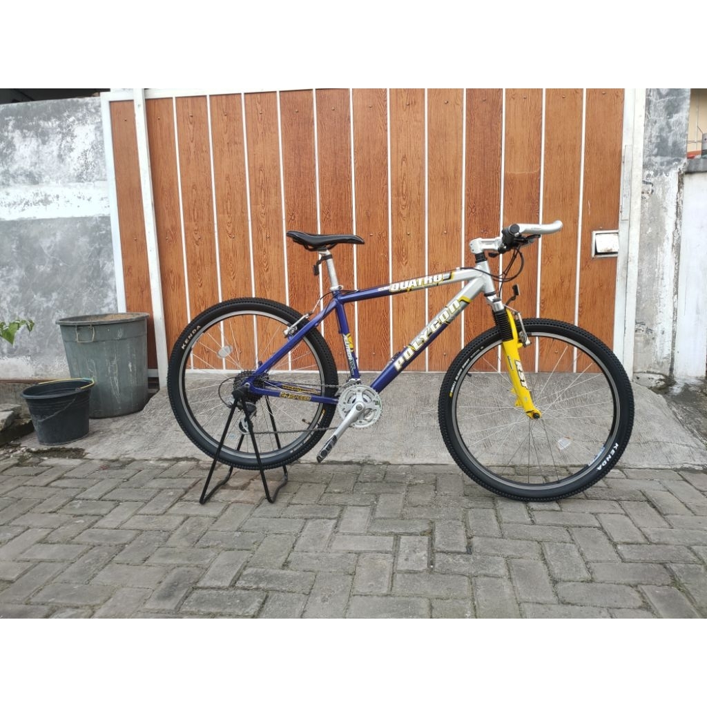 sepeda polygon quatro cubic