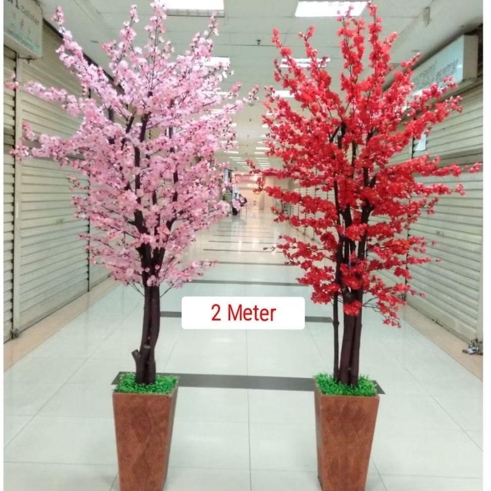 Pohon Imlek Sakura Meihua mehwa angpao 2 m meter tinggi besar