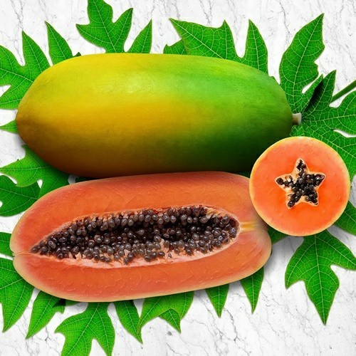2 Biji Benih Pepaya MERAH DELIMA