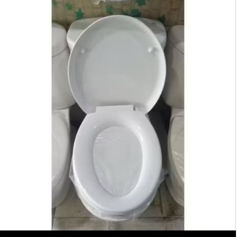 Cover TOTO TC505 || Tutup Closet Duduk TOTO || Bekas
Mullus