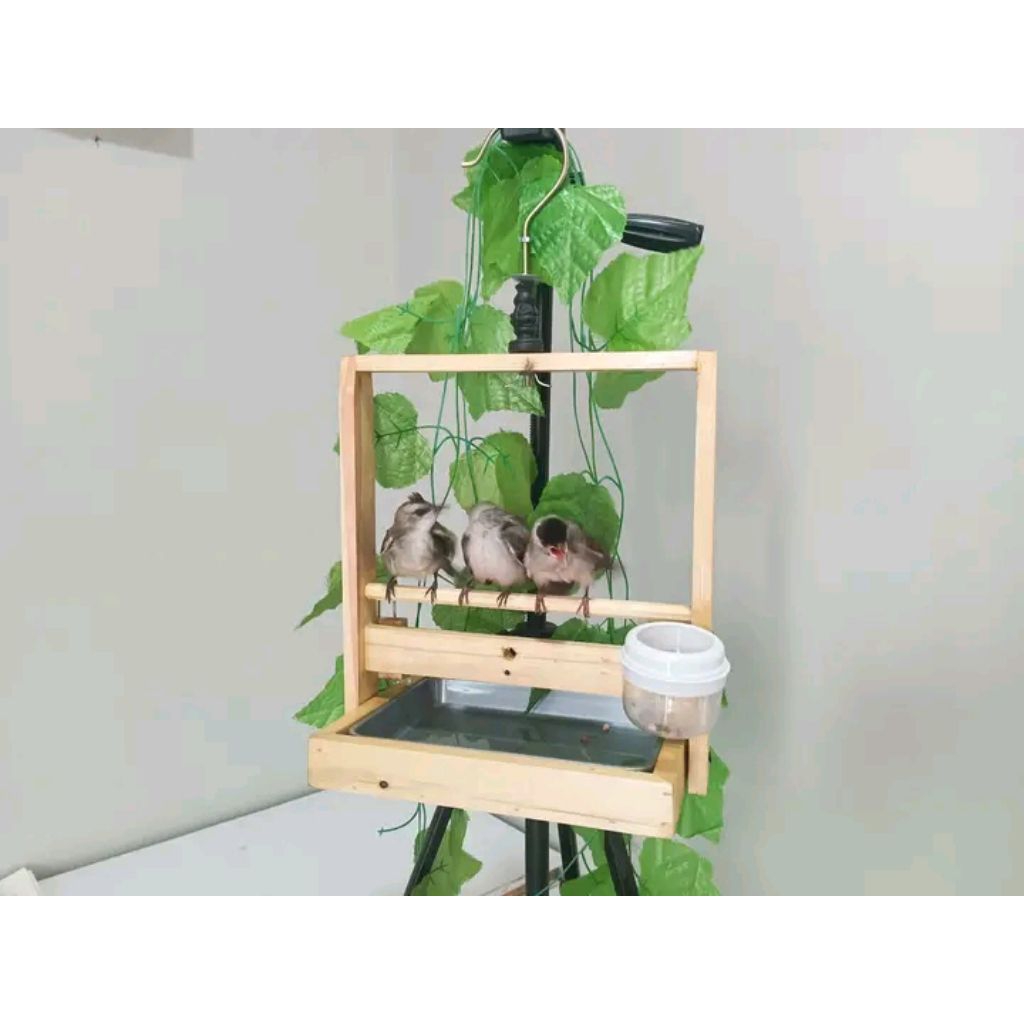 Sangkar Layang Kayu Jati Landa Model Mini Baki Aesthetic