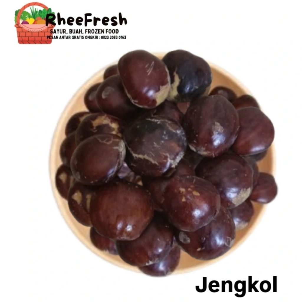 Jengkol Tua 1 Kg - Mentah Pulen Siap Masak