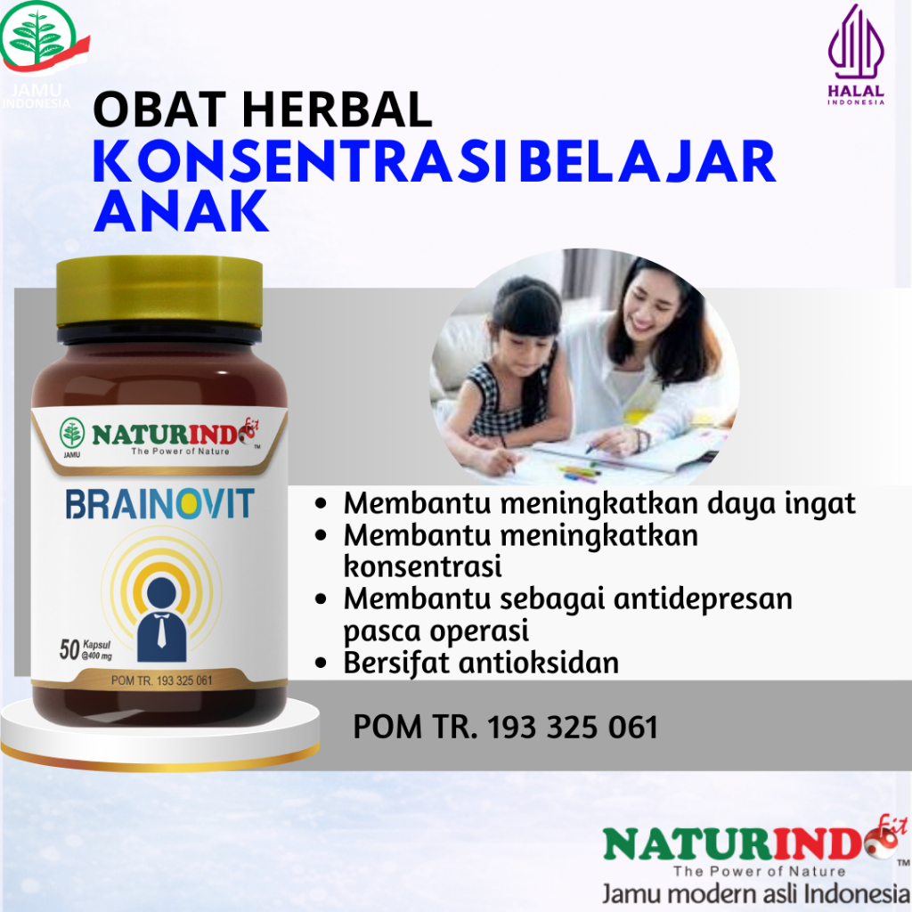 BRAINOVIT - Obat herbal pegagan untuk konsentrasi belajar anak
