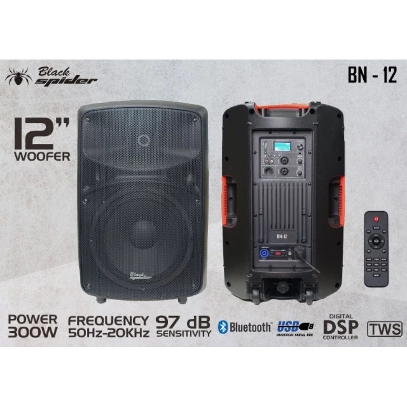 Speaker Active Black Spider / BlackSpider BN-12 12 inch (1 bh)