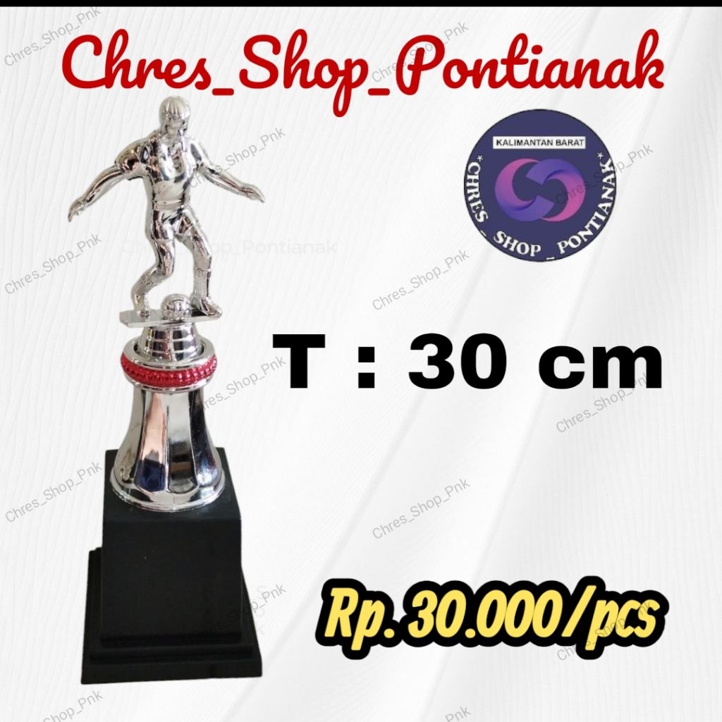 Piala Satuan 205/Futsal/Sepak bola silver