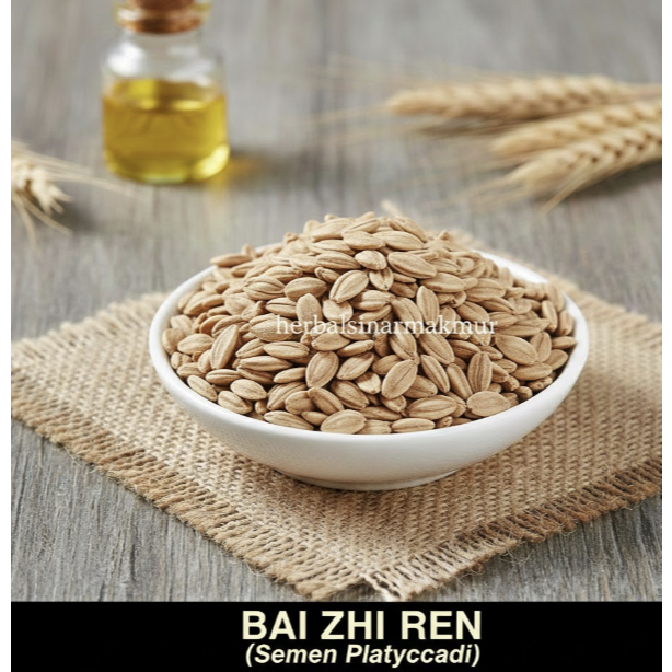 Biji Pinus Putih 150gr (Bai Zhi Ren) Semen Platycladi - Herbal Penenang Tidur & Jantung