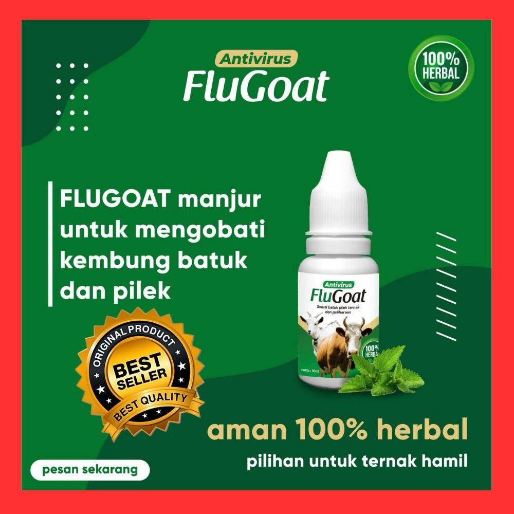 TERJAMIN  Obat Flu Ayam Paling Ampuh, Obat Flu Ayam Broiler