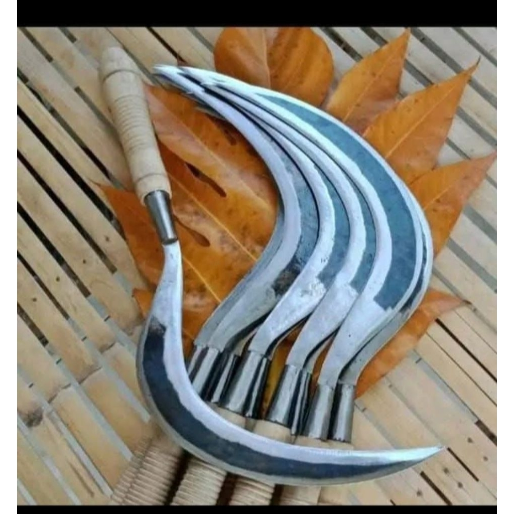 terbaru alat pemotong ranting dan rumput arit full baja per khas madura