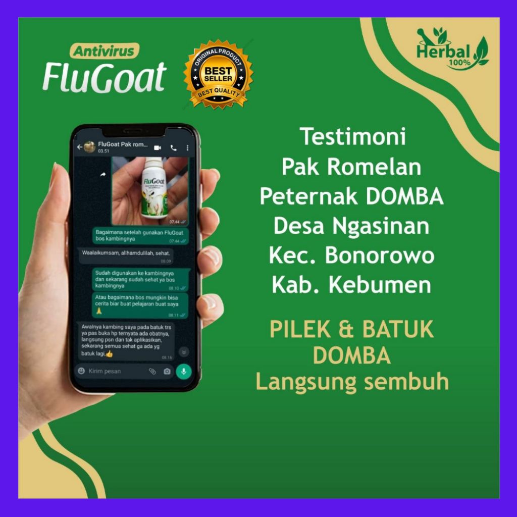 BERKUALITAS  Obat Kambing Flu Batuk, Obat Kambing Flu Dan Batuk, Obat Kambing Flu Herbal