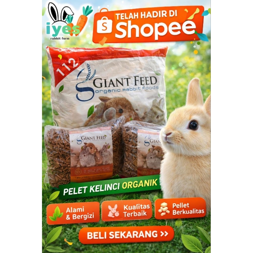 GIANT FEED-pakan premium kelinci