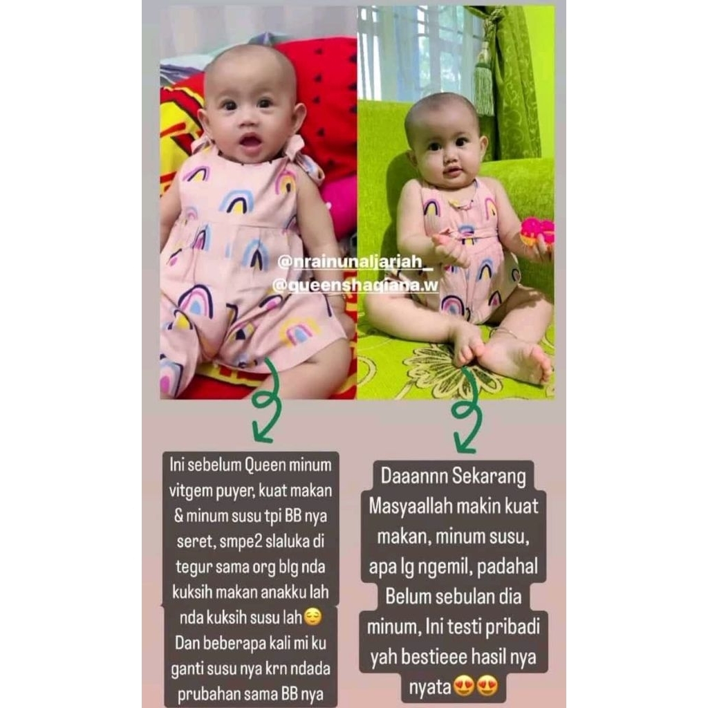 Vitgem Puyer Original