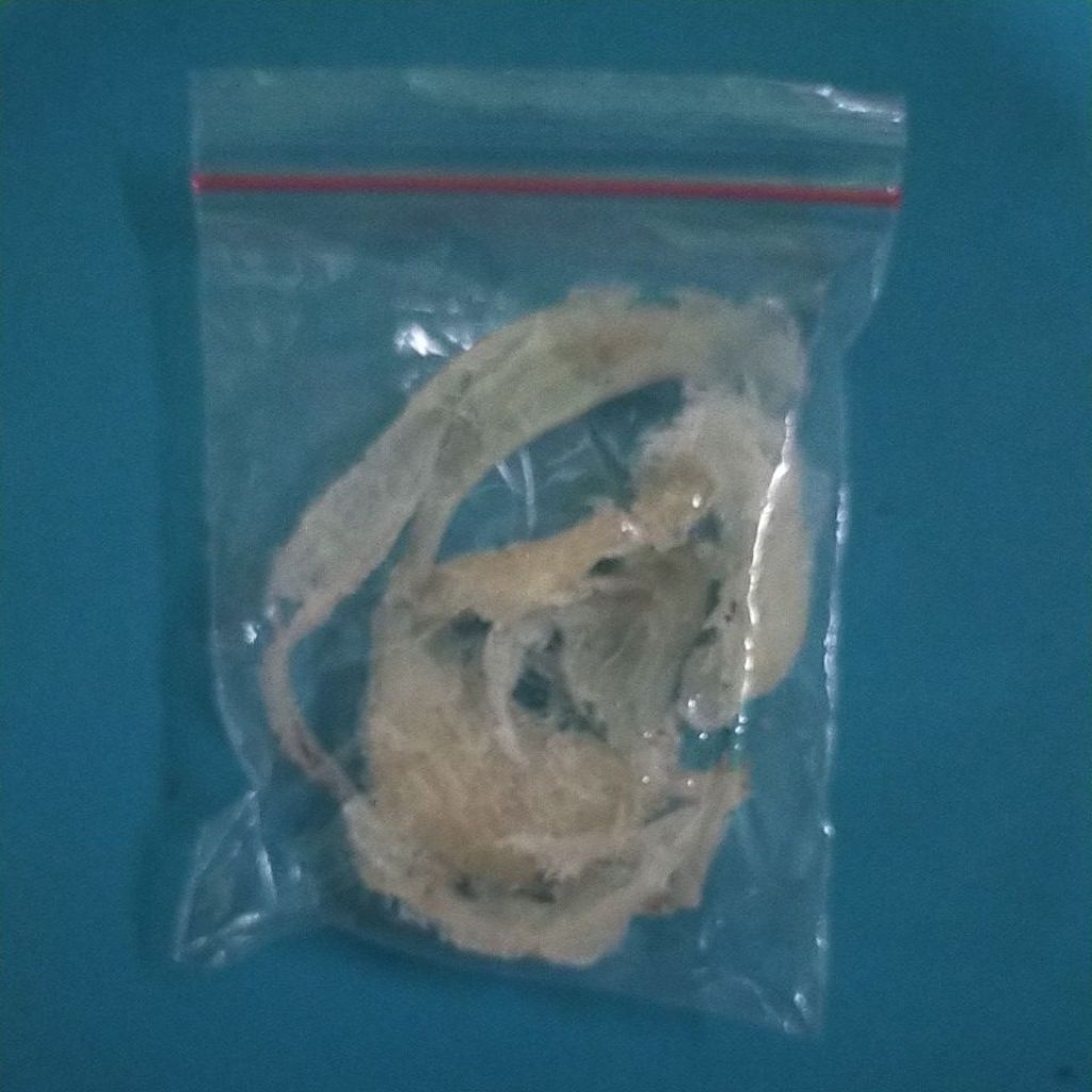 Sarang Walet patahan Kotor Original Harga Per 1 gram / Brid Nest
