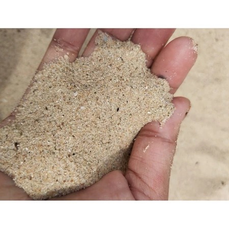 Pasir Pantai Halus Asli Alami, Pasir laut, Pasir Mainan Anak