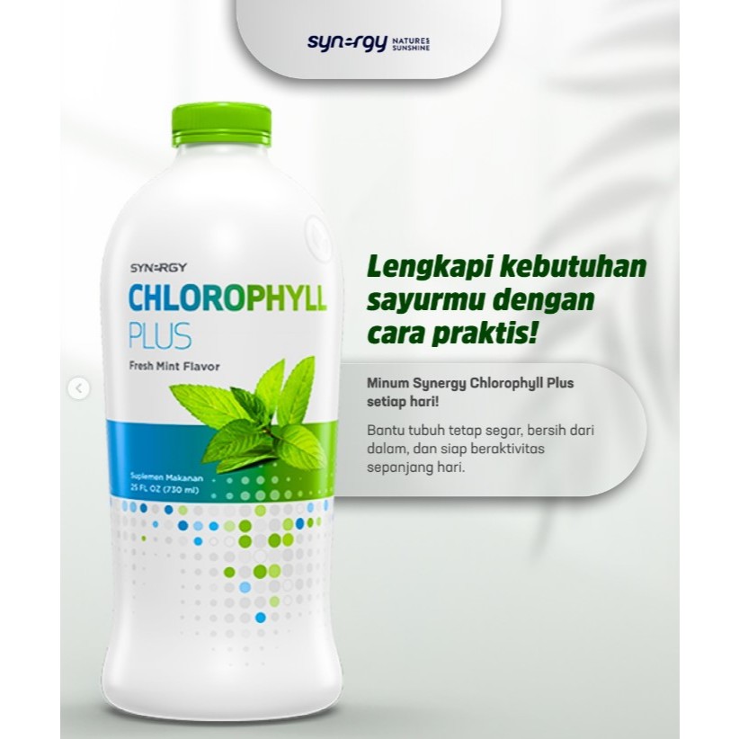 Synergi Chlorophyll Plus liquid chlorophyll untuk vitalitas