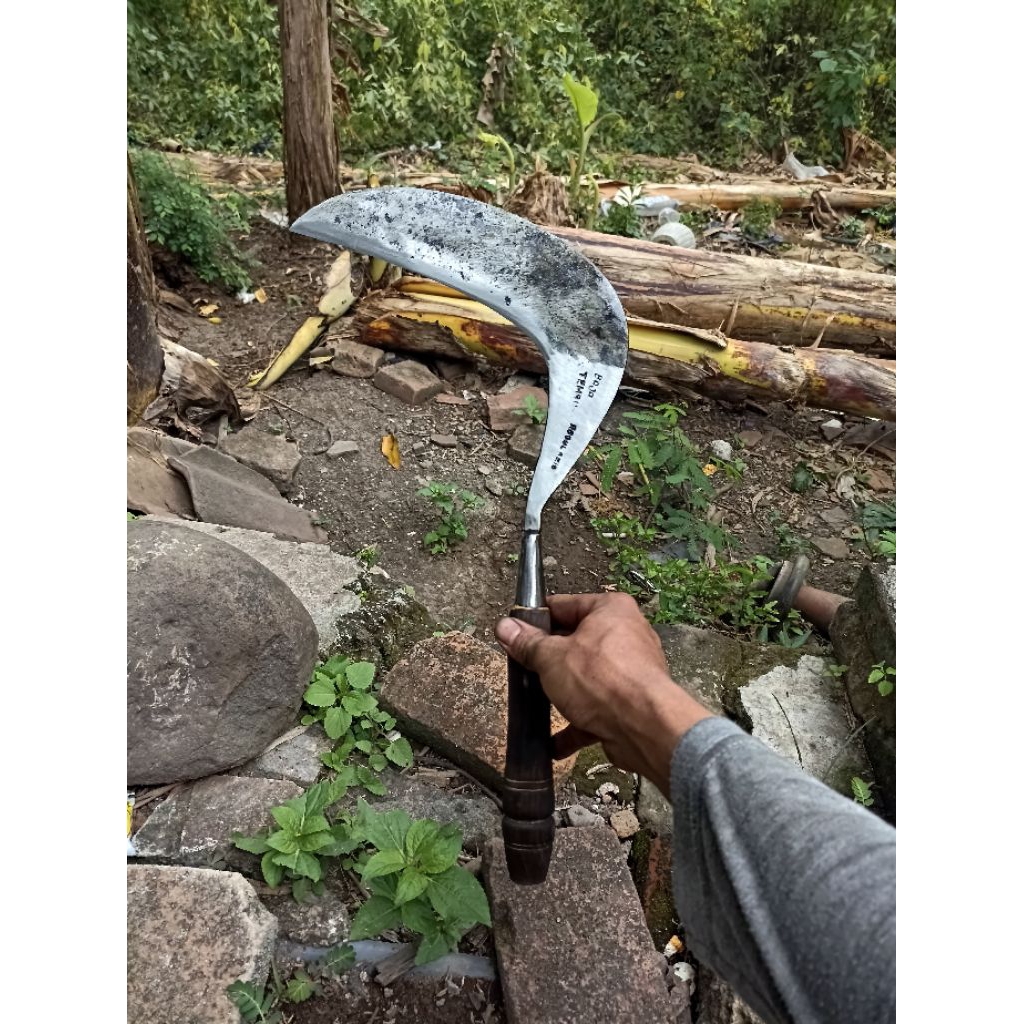 sabit/arit BAJA TEMBUS cap (DARMO)