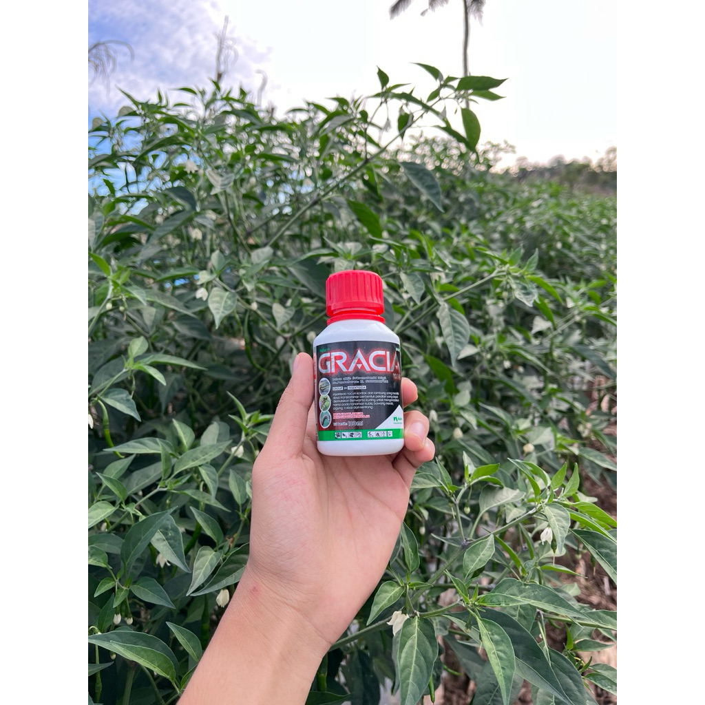 INESKTISIDA GRACIA 103 EC