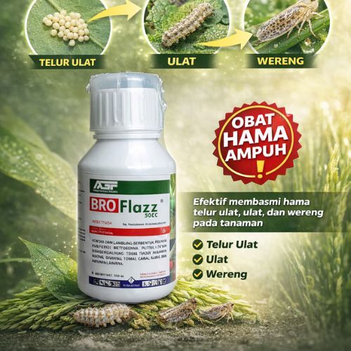 BROFLAZZ INSEKTISIDA Ampuh Atasi Serangan Ulat Dengan Bahan Aktif Brofanalida / Insektisida Ulat Pal