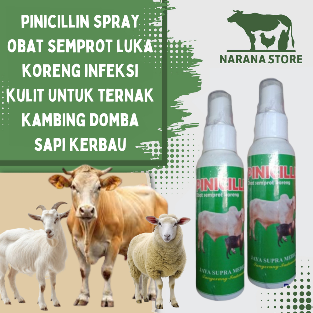 Pinicillin Spray Pinisilin Obat Luka dan Koreng Anti Bakteri untuk Sapi, Kambing, Domba Pinicilin 10