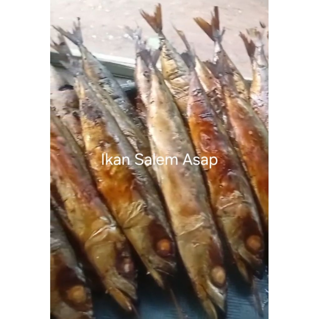 Ikan asap SALEM  3 ekor