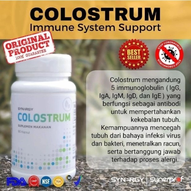 Resmi Synergy Colostrum 90 Kapsul Sertifikat BSE
