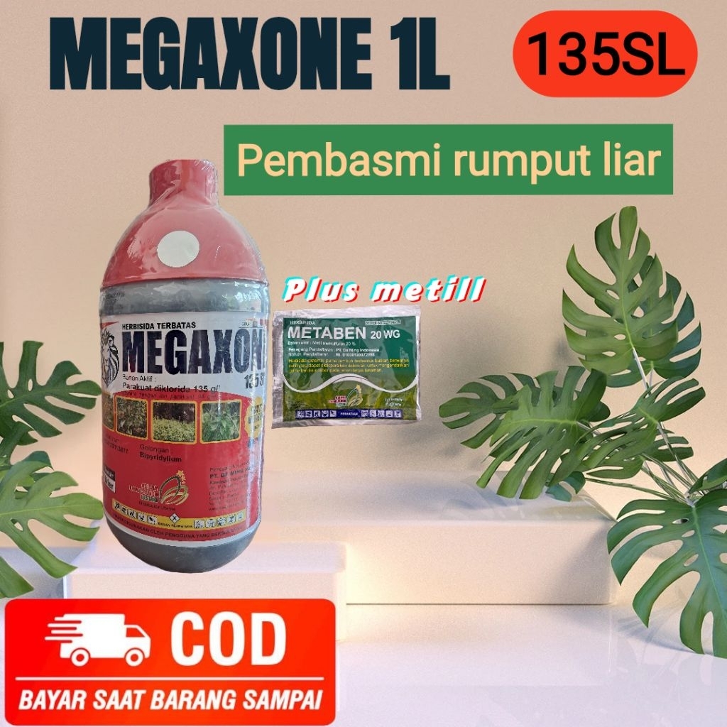 MEGAZONE 135 SL – Herbisida Ampuh Basmi Gulma Efektif Cepat Kering