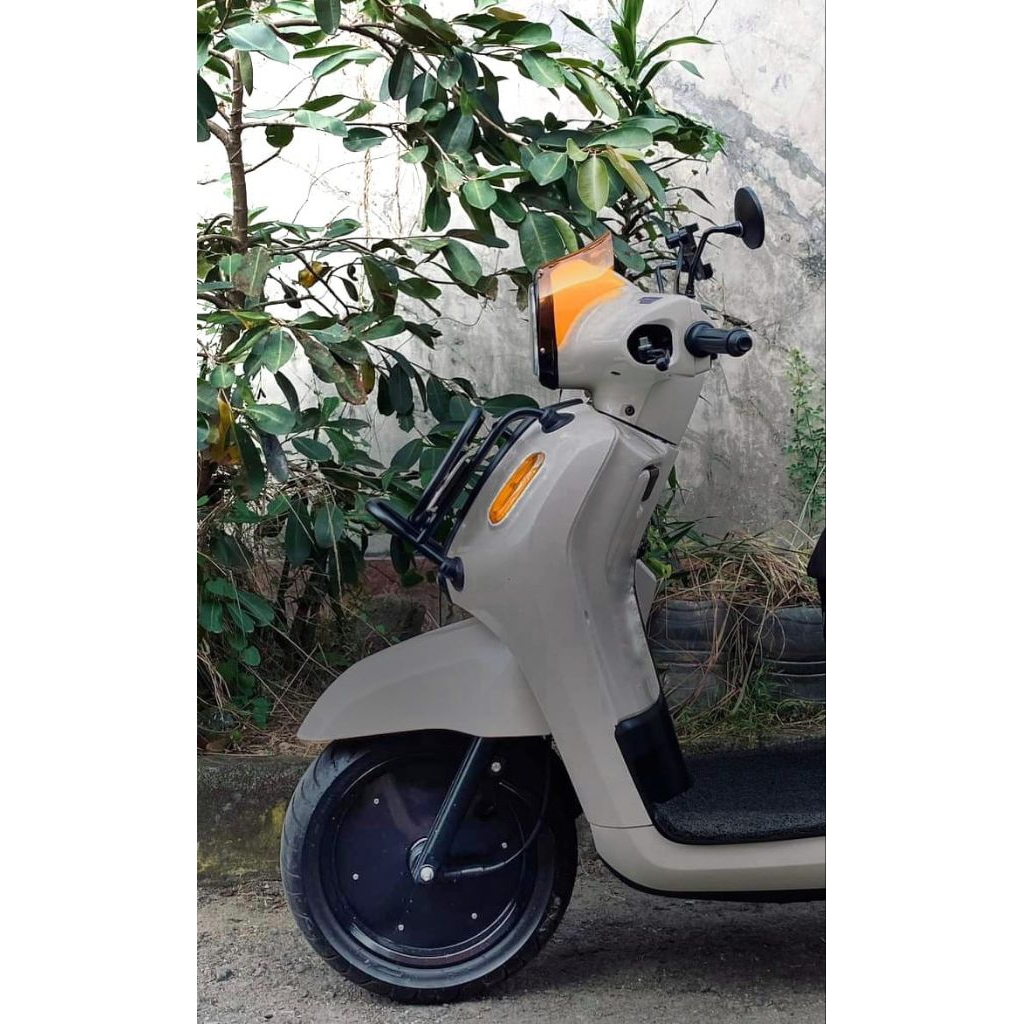 wheeldop fazzio custom