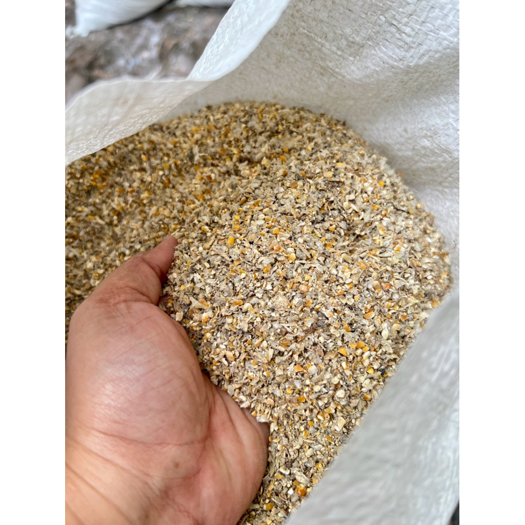 Menir jagung campur 6.999 / 1kg tumpi menir