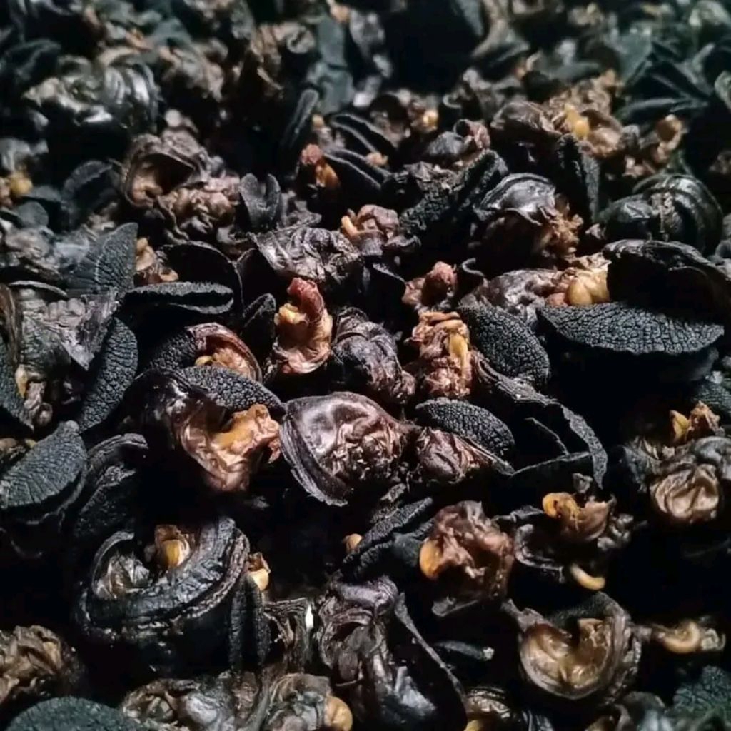 krecek kering bekicot mentah siap goreng asli 1kg