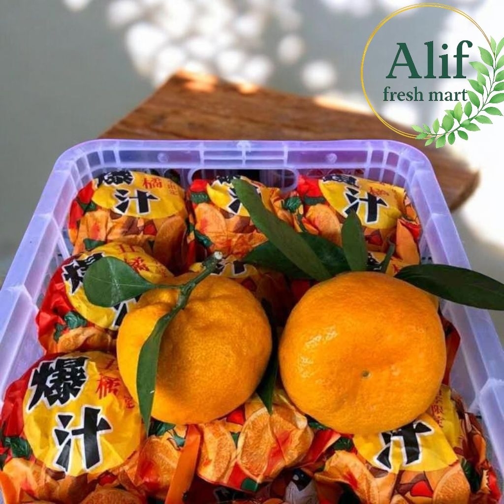 jeruk dekopon/papagan premium 1 pcs