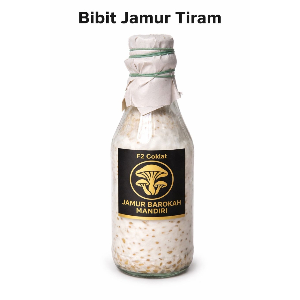 Bibit F2 Jamur Tiram Coklat