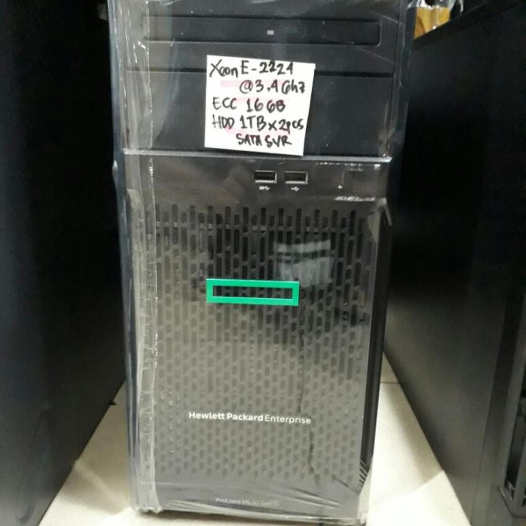 PC HPE Pro ML30 Gen10 XEON E2124 / RAM 16GB / HDD 1TB ( BERGARANSI )