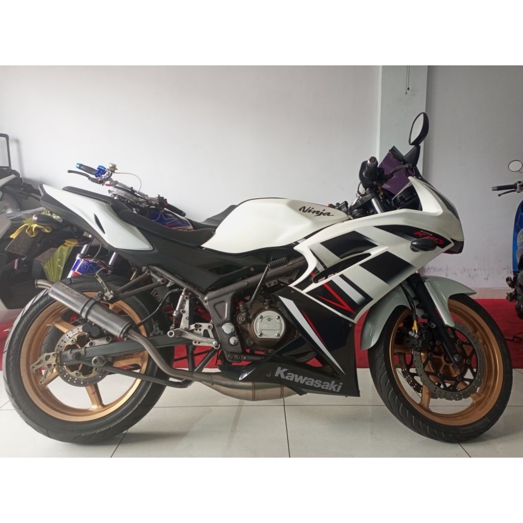 Ninja Rr New 2013