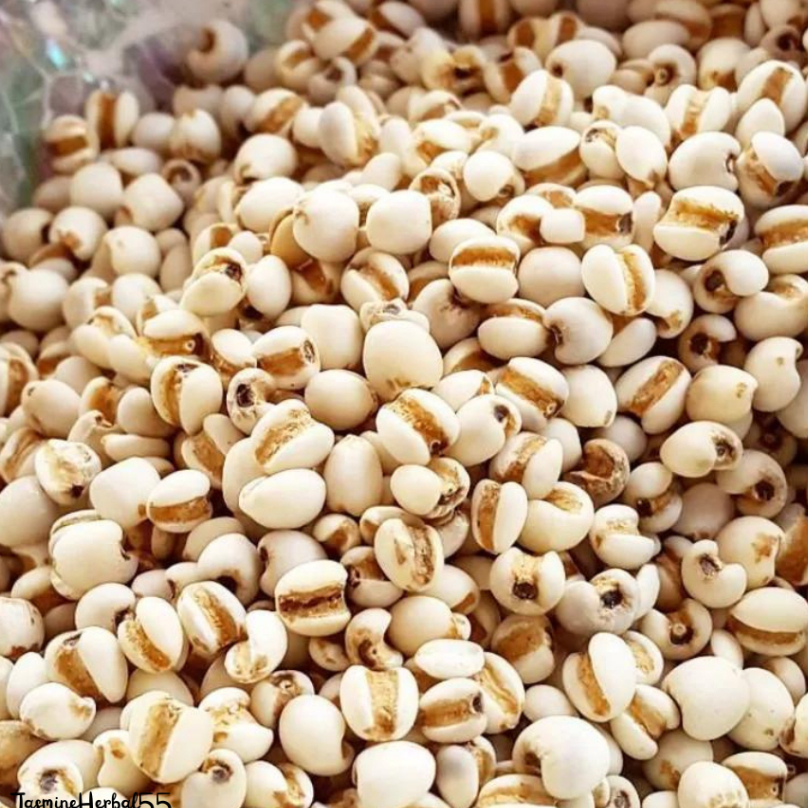 BIJI JALI JALI CINA PEARL BARLEY IMPORT LEBIH BESAR