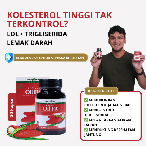 OIL FIT 50 Kapsul BPOM Penurun Kolesterol Herbal Alami Atasi LDL Tinggi dan Trigliserida