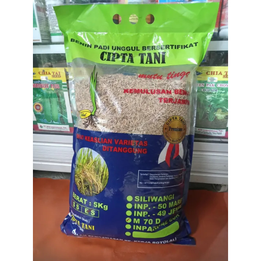 BIBIT - BENIH PADI M70D PREMIUM CIPTA TANI - 5KG