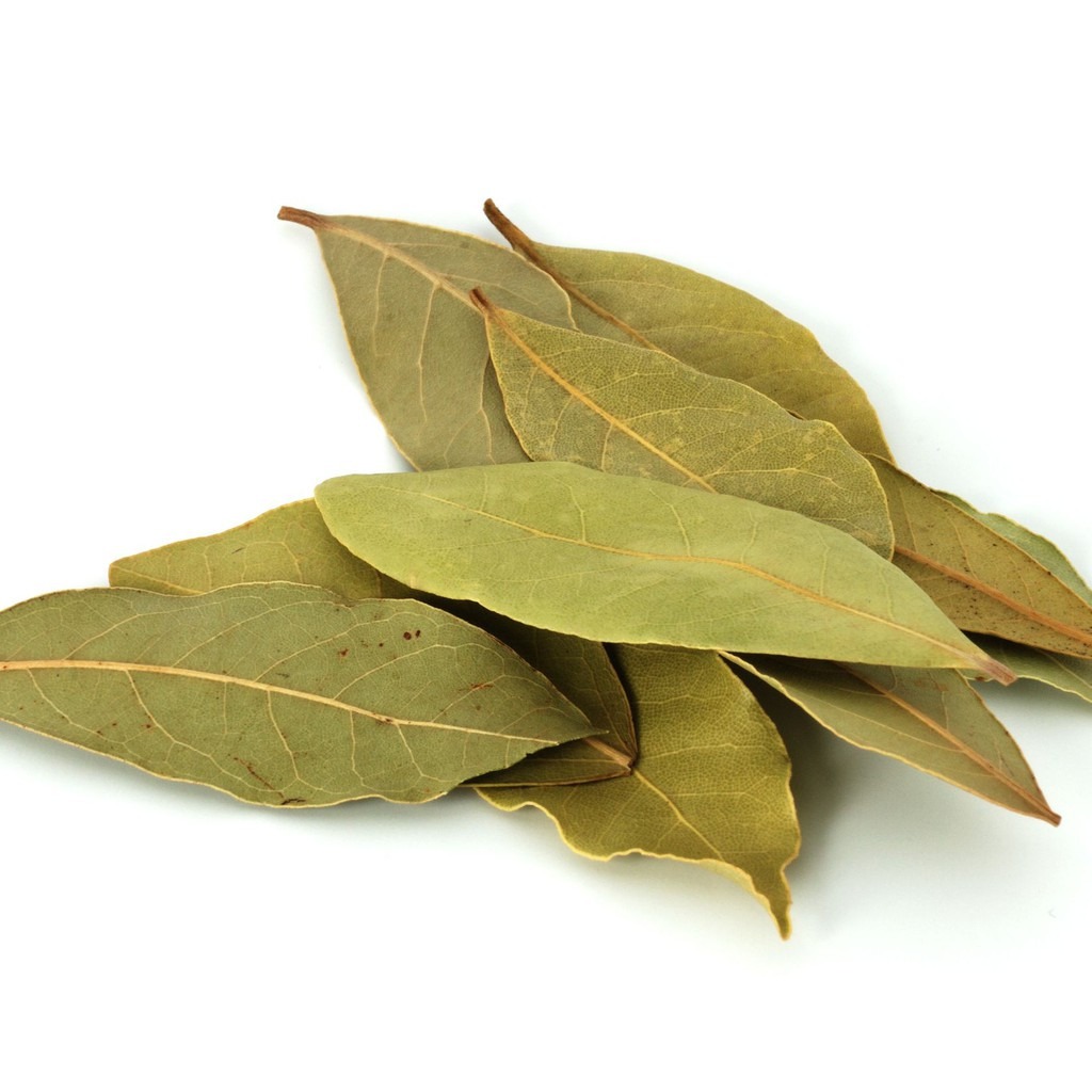 Premium Bay Leaves | Daun Salam 1KG