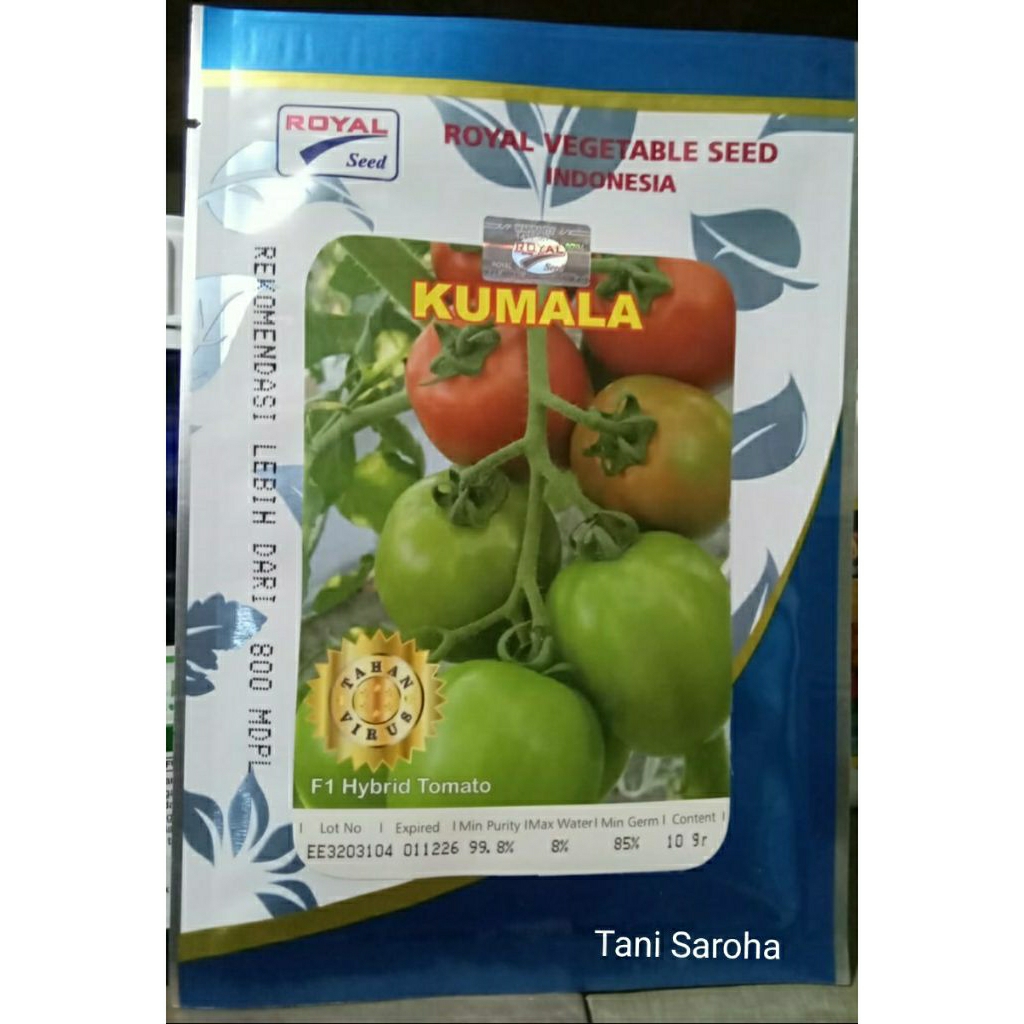 BIBIT BENIH TOMAT KUMALA F1.. 10 GR ROYAL SEED